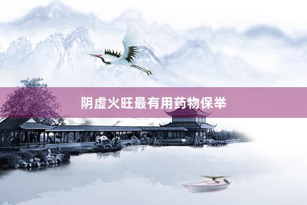 阴虚火旺最有用药物保举